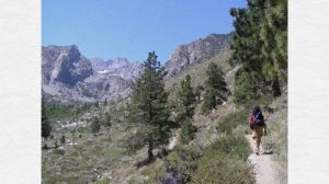 Created with Microsoft Fresh Paint